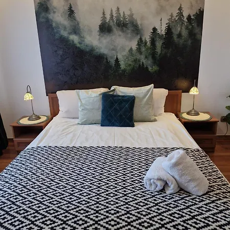 Apartament11 Brzozowa 5minut Krupowki, Garaz Zakopane