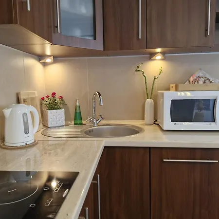 Apartment Apartament11 Brzozowa 5minut Krupowki, Garaz