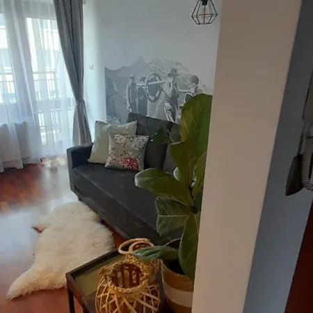 דירה Apartament11 Brzozowa 5minut Krupowki, Garaz *