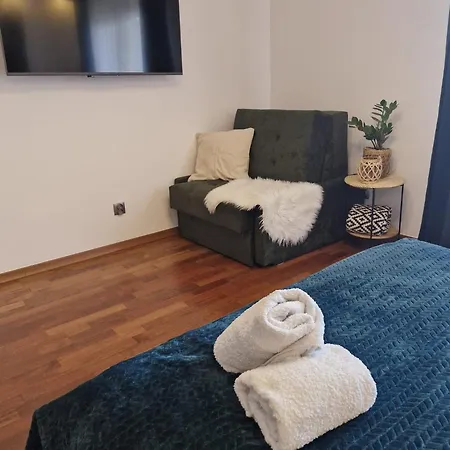 Apartment Apartament11 Brzozowa 5minut Krupowki, Garaz Zakopane