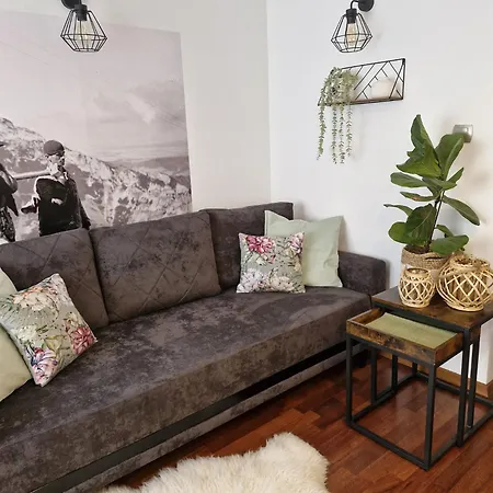 Appartement Apartament11 Brzozowa 5minut Krupowki, Garaz *