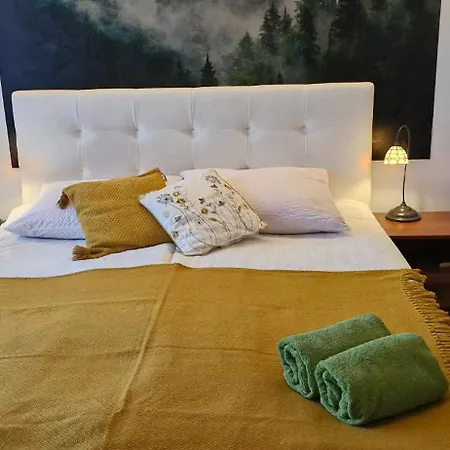 アパート Apartament11 Brzozowa 5minut Krupowki, Garaz ザコパネ