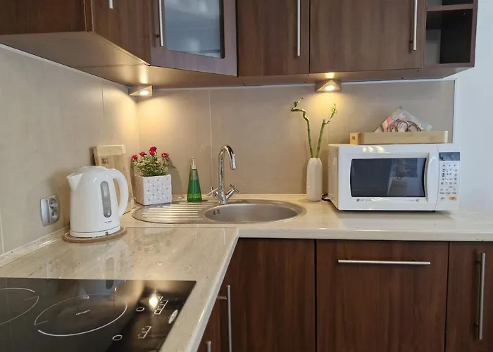 Apartmán Apartament11 Brzozowa 5minut Krupowki, Garaz